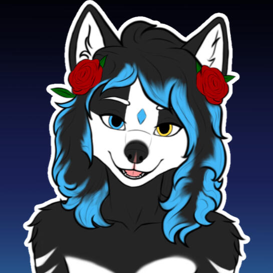 All my links from my networks :)